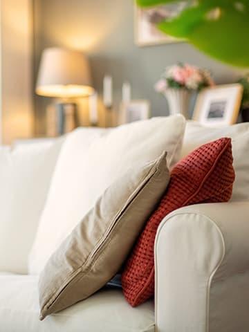 Imagen principal movil